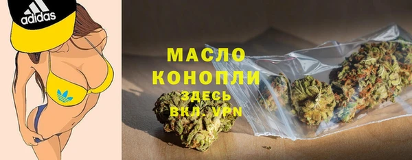 индика Аркадак