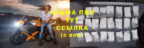 индика Аркадак