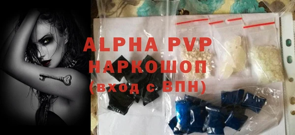 индика Аркадак