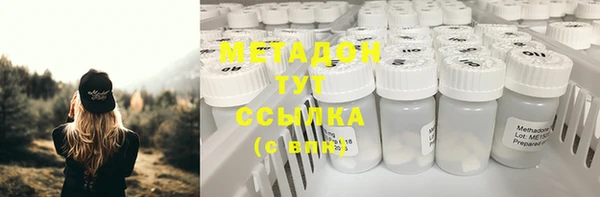 индика Аркадак