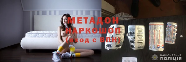 индика Аркадак