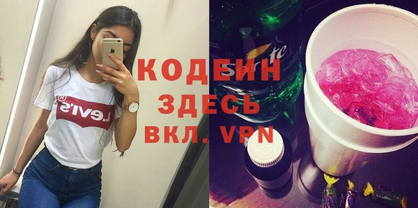 индика Аркадак