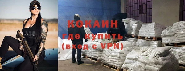 индика Аркадак