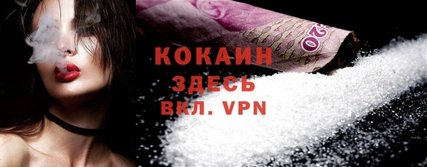 индика Аркадак