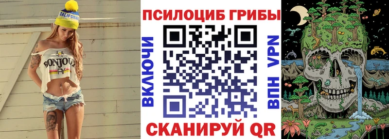блэк спрут ONION  Берёзовский  Псилоцибиновые грибы Psilocybine cubensis 